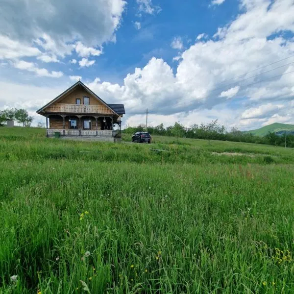 Casa bunicilor din Oncești，Onceşti的飯店