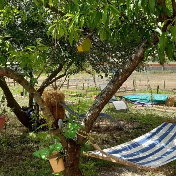 Noctua Villam GuestHouse, hotel en Marinha Grande