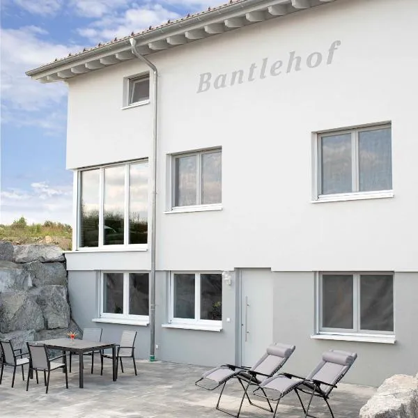 Bantlehof, hotel in Niedereschach