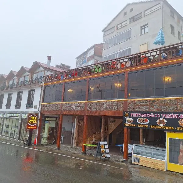 Hamsikoy Tas Otel, hotel in Hackali Baba Yaylasi