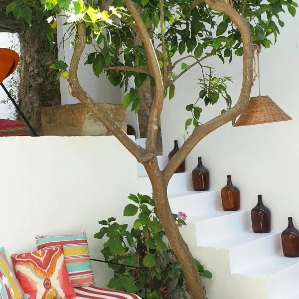 Casa dos Bijos, hotell i Castelo de Vide