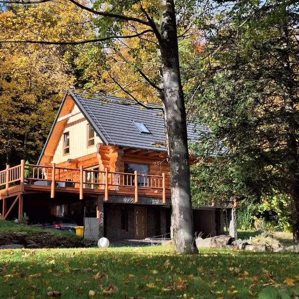 Chata pod Olbrzymami w Karkonoszach – hotel w mieście Zachełmie