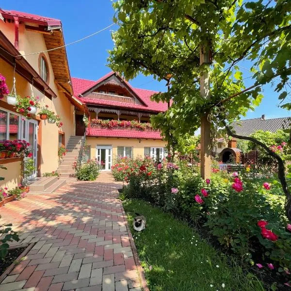 Pensiunea Alina, hotel en Văratec