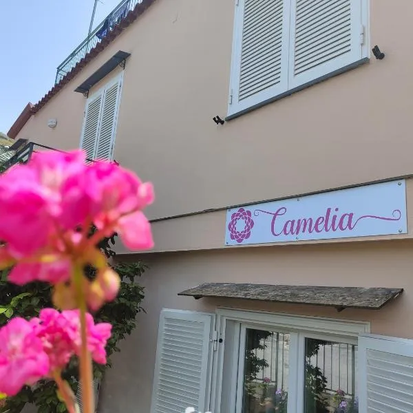 Camelia Vico Equense, hotel in Vico Equense