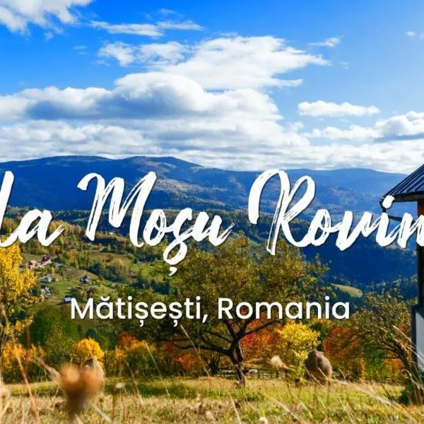 La mosu Rovin, hotel v destinaci Borta