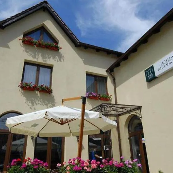 Hotel Ana, hotel v destinaci Arad