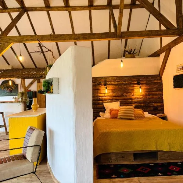 Inside, The Village- The Hut Studio, hotel in Tunari