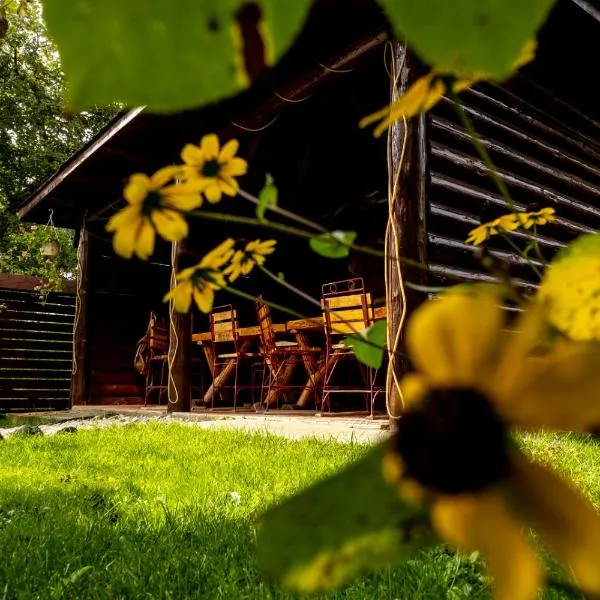 Pensiunea Namaesti, hotel di Nămăeşti