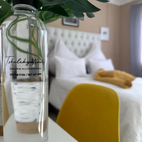 Tshelekgotsowe executive accommodation, hotel v destinaci Standerton