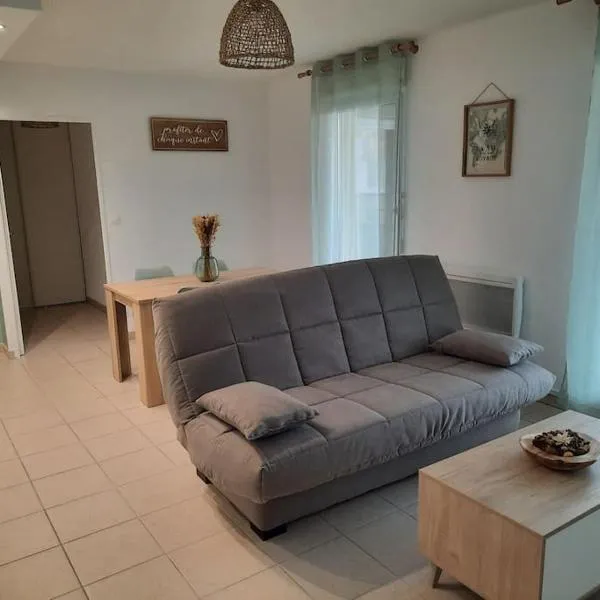 Appartement T2 climatisé avec terrasse, Hotel in Port-Saint-Louis-du-Rhône