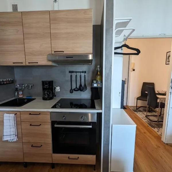 Zentrales Studio-Apartment in Linz, Arbeiter-hit, hotel v Linci