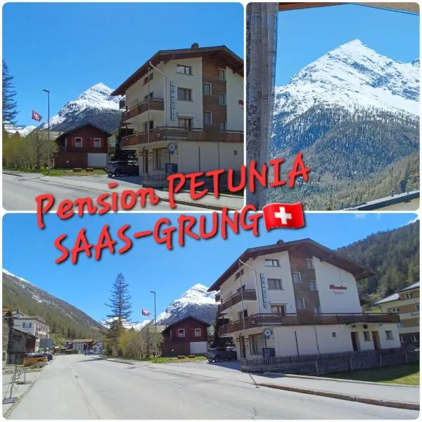 Chalet Petunia In Swiss Alps, hotel v destinaci Saas-Grund