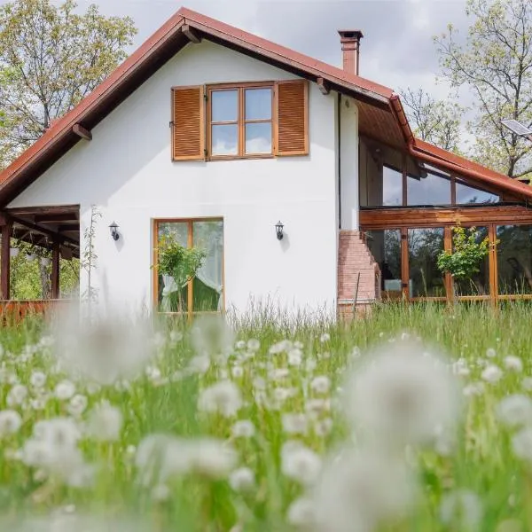 Cerdacul din Livada - Căsuța din Livadă, hotel v destinaci Vaideeni