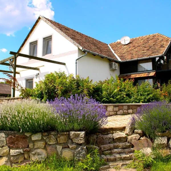 Vidéki Ház, hotel v mestu Tagyon