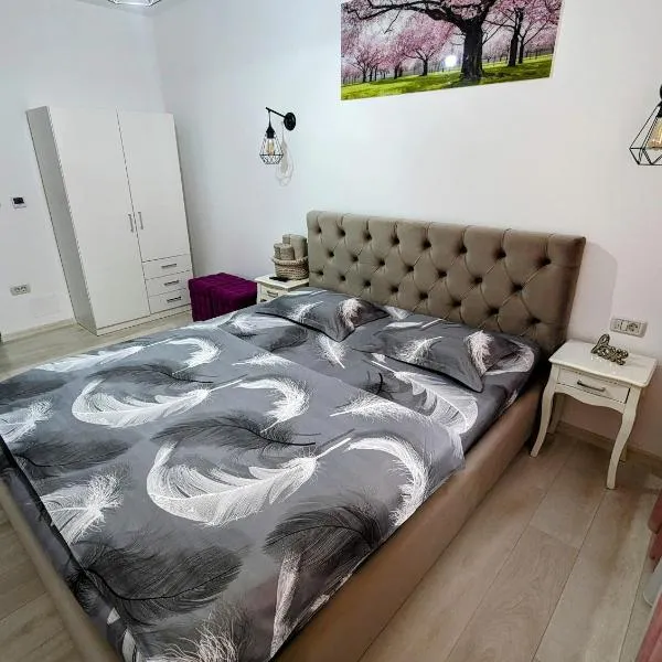 White Studio, ξενοδοχείο σε Câmpulung Moldovenesc