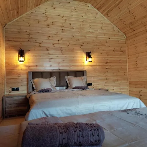 cottage nikolozi, hotel in Stepantsminda