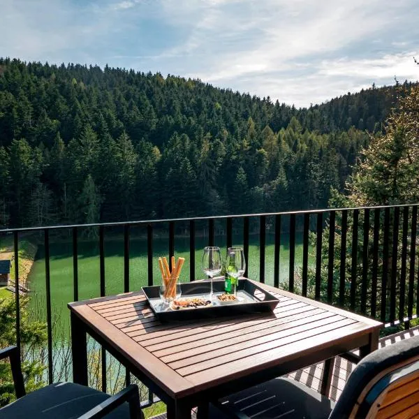 Klinger na dlani - LAKE VIEW, hotel a Banská Štiavnica