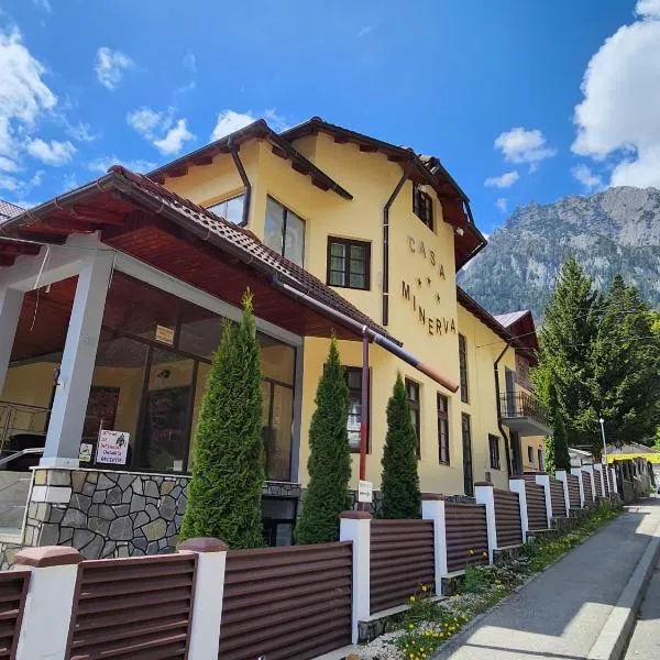 Casa Minerva、ブシュテニのホテル