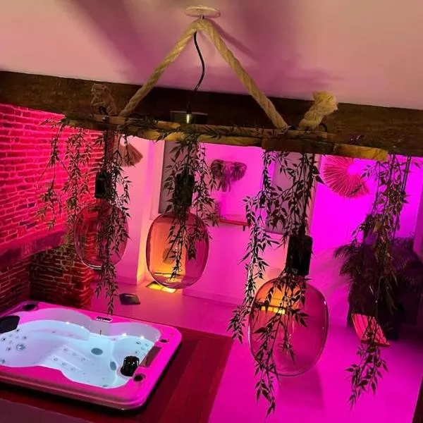 Love Room Toulouse, hotel in Léguevin