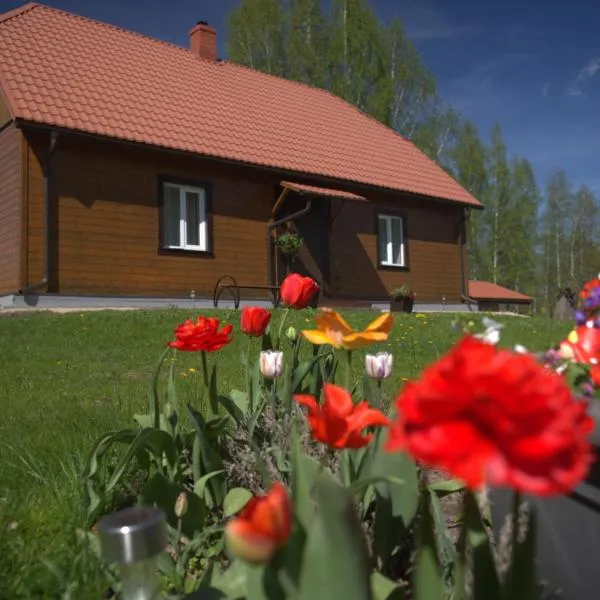 Ezera Pērle, hotel in Ķeipene