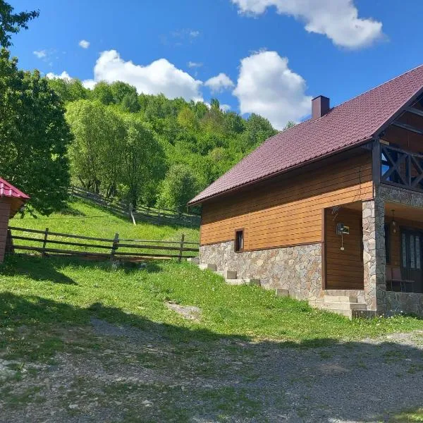 Синевирський Краєвид, hotel v destinaci Siněvir