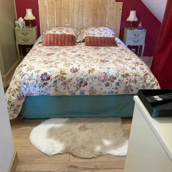 Un Amour de Grenier,à 200m du Zoo, hotel in Saint-Aignan