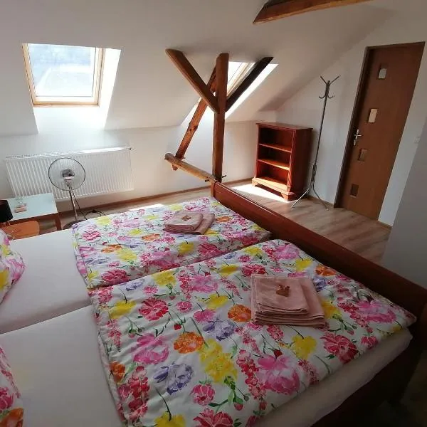 Casa Bunicii, hotel v destinaci Sasca Montană