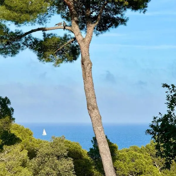 Apartment, short walk to the beach with aircon, khách sạn ở Calella de Palafrugell