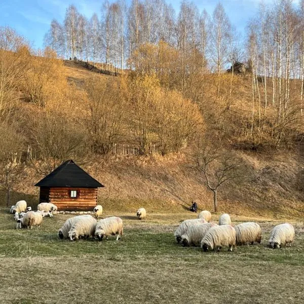 Rai Village, hotel in Băniţa