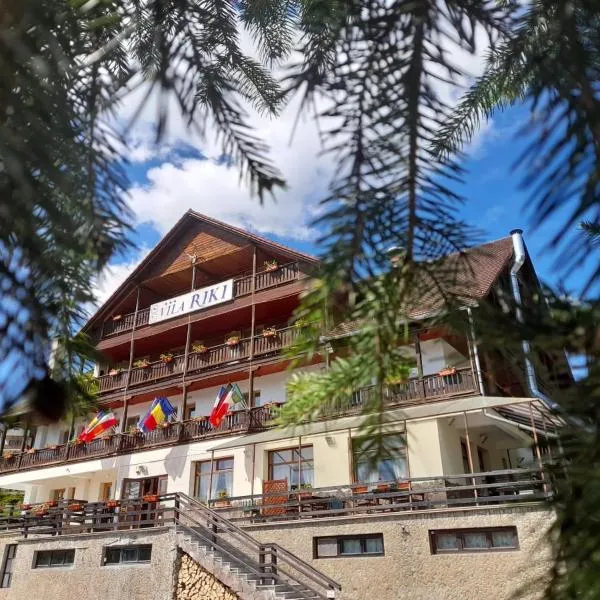Vila Riki, hotel v destinaci Borsec