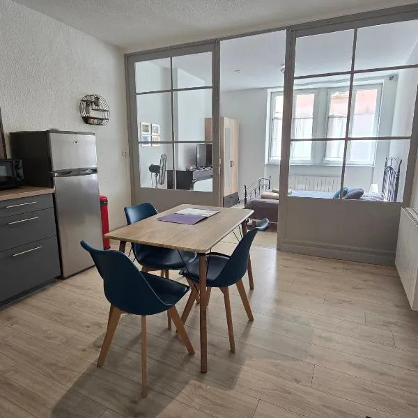 Appartement au calme idéalement placé à Mâcon., hôtel à Mâcon