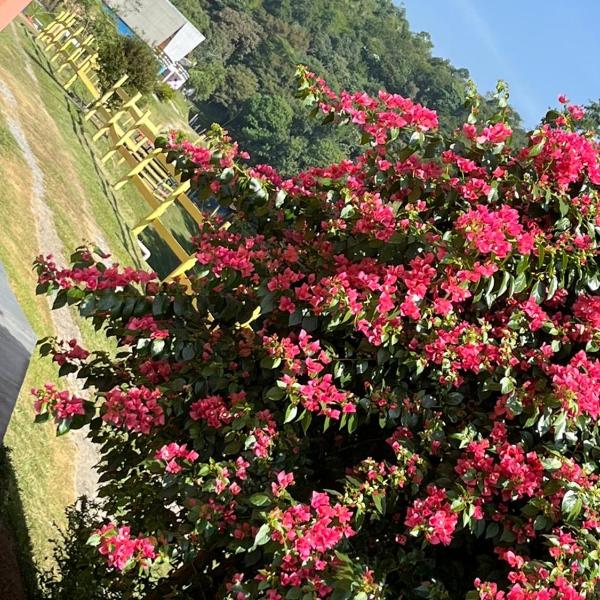 POUSADA PE NA TERRA EM GUARAREMA - Foto 3