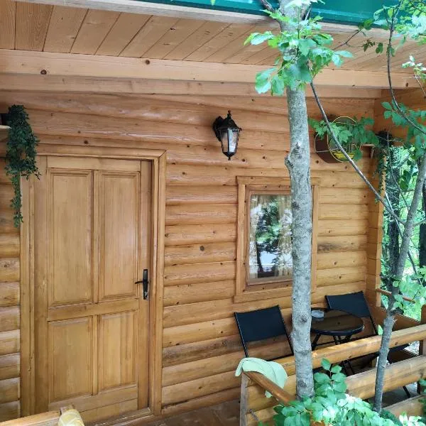 Still cabin, hotel v destinaci Cetinje