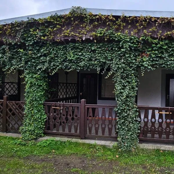 Chatka Ema, hotel in Náchod