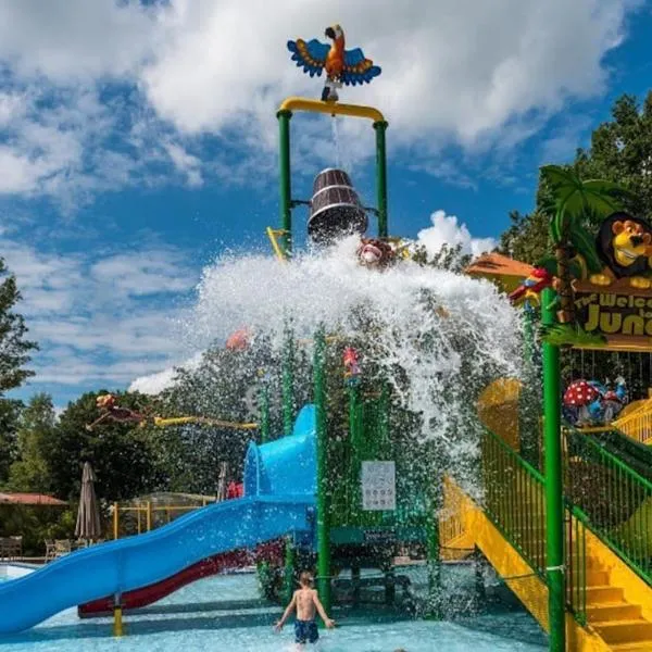 Chalet Pallegarste 125, hotel a Mariënberg