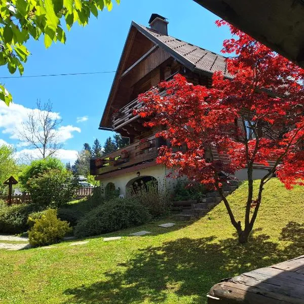 Kuća za odmor Family Fužine, hotel v destinácii Fužine