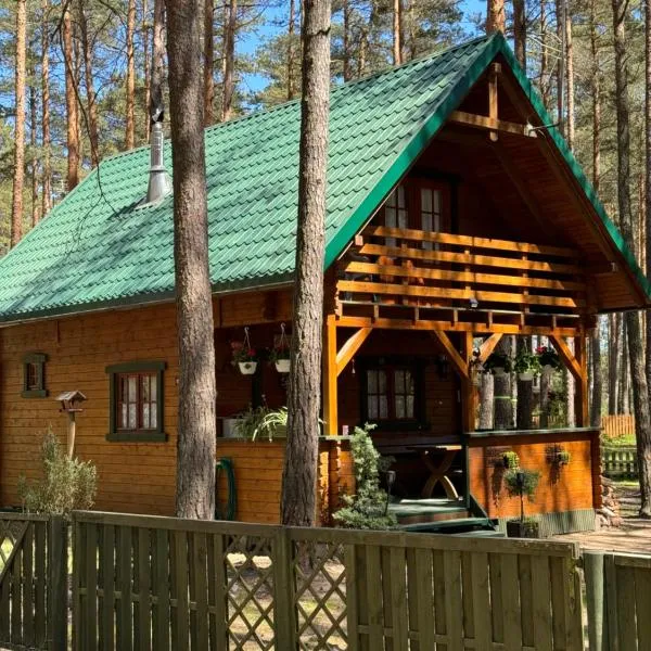 Domek Borsk, hotel v destinaci Borsk