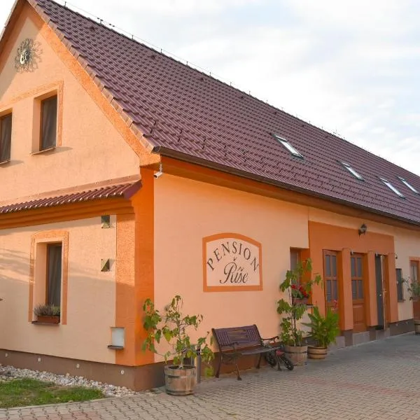 Penzion Říše, Hotel in Třeboň