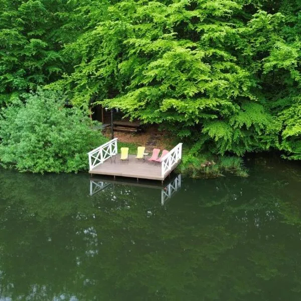 Pintea Chalet, hotel in Baia-Sprie