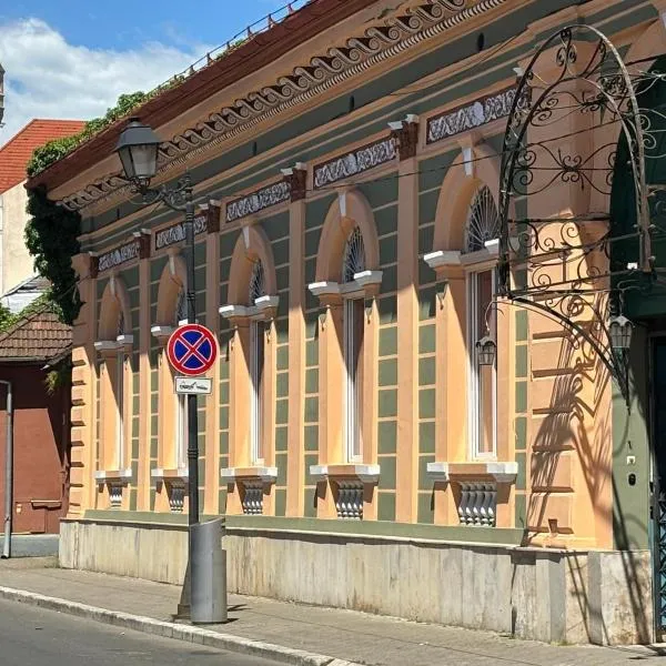 Pensiunea Casa Rusu, hotel v destinaci Baia Mare