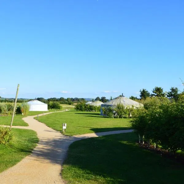 Caalm Camp, hotel en Stour Provost