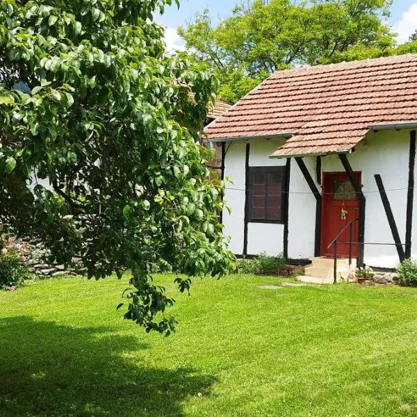 Глинената къща в Дълги Дел, hotel in Chiprovtsi