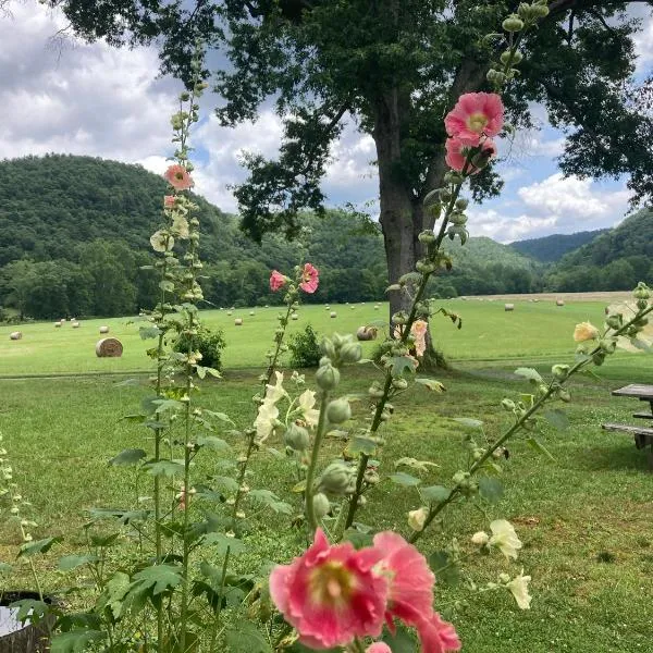 프린스턴에 위치한 호텔 Gorgeous cabin stay near I-77, views, antiques, Wi-fi, wonderful experience for 2!
