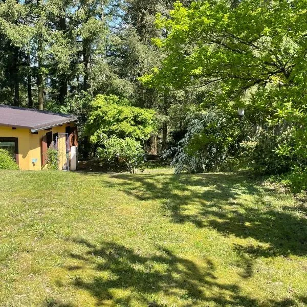 Gemütliches Ferienhaus mit Kamin in idyllischer Waldrandlage, hotel v destinaci Arenrath