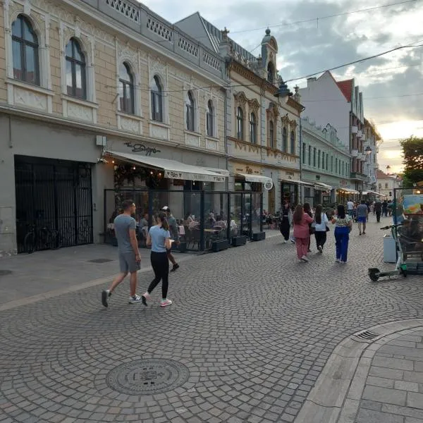 Darris Apartament Ultracentral, hotel v mestu Oradea