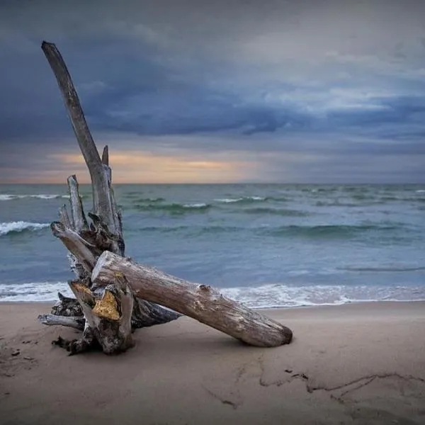 Lake Huron - 1 Bedroom, 1 Bath Lake Front Cabin (Sleeps 4), hotel in Oscoda