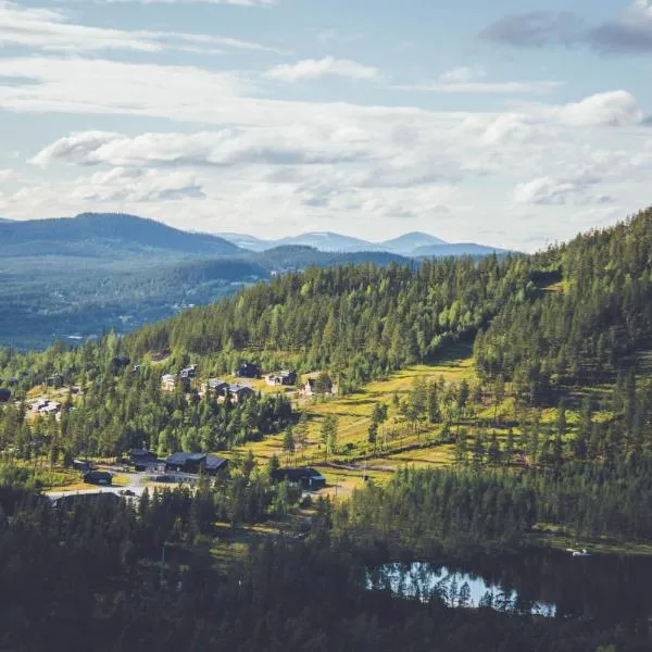 Tännäskröket, hotel v destinaci Tännäs