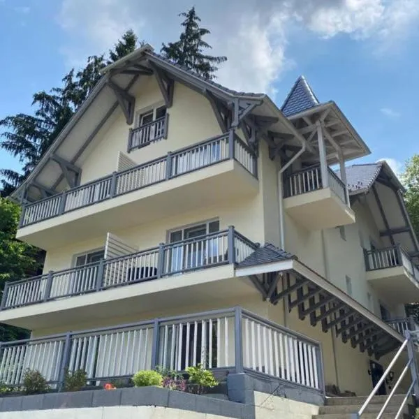 Vila Niki, hotel v destinaci Sovata