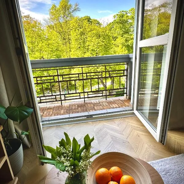 Park House Apartament Deluxe- free parking, hotel di Częstochowa