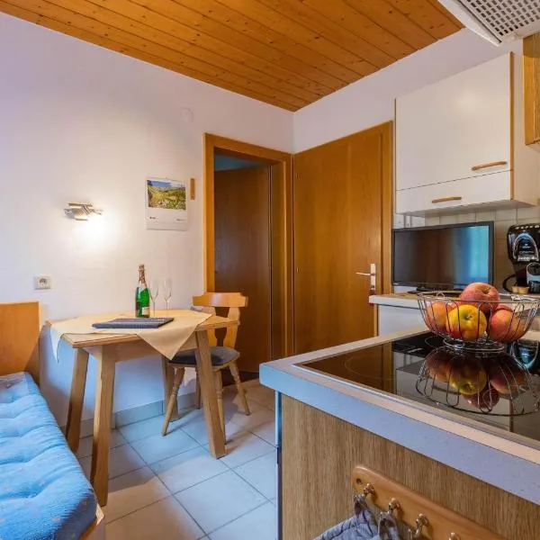 Apartment Rotbühlspitze, hotel a Sankt Gallenkirch